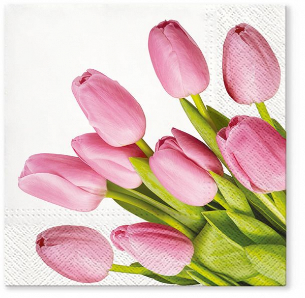 AKU komplet 20 serwetek papierowych 33x33cm dek. tulipany